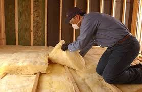 Best Insulation Removal  in Ashland, CA